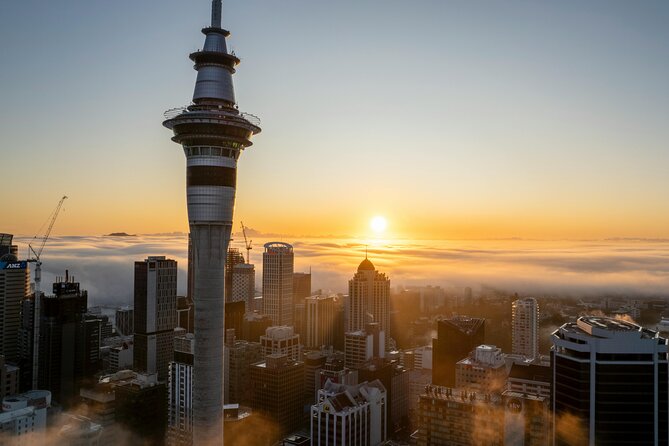 Auckland Highlight Attractions Small Group Tour - Mt Eden and Maungawhau: the volcanic view that anchors the whole tour