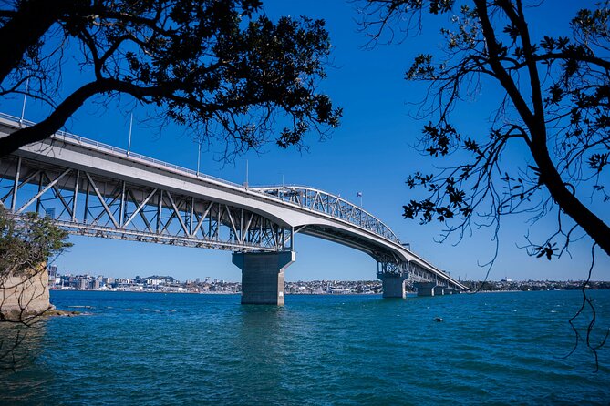 Auckland Highlight Attractions Small Group Tour - Mission Bay and Tamaki Drive: seaside scenery near the city