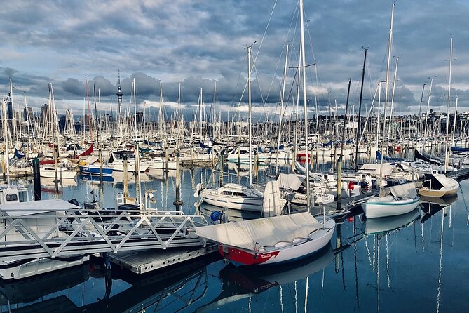 Auckland Highlight Attractions Small Group Tour - What this tour is best for, and who might not love it