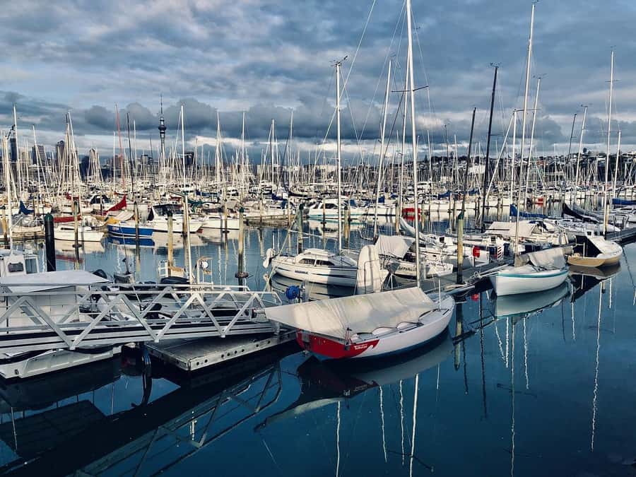 Auckland Highlight Attractions Small Group Tour - Tips to get the most from your half-day Auckland plan