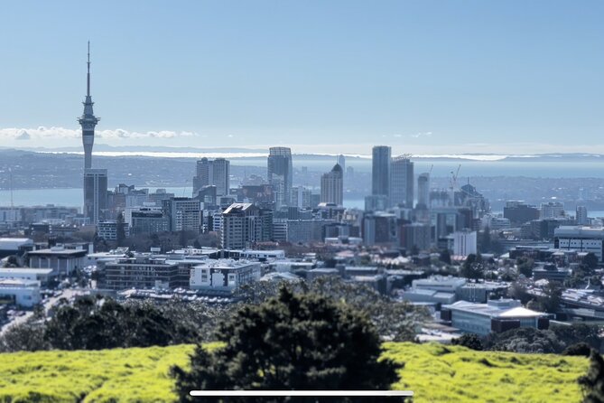 Auckland Highlight Fullday City Tour - Small Group, Live Commentary, and the Convenience of Pickup