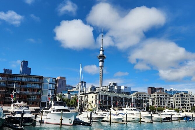 Auckland Highlights Full Day Guided Tour - Key highlights worth getting excited about
