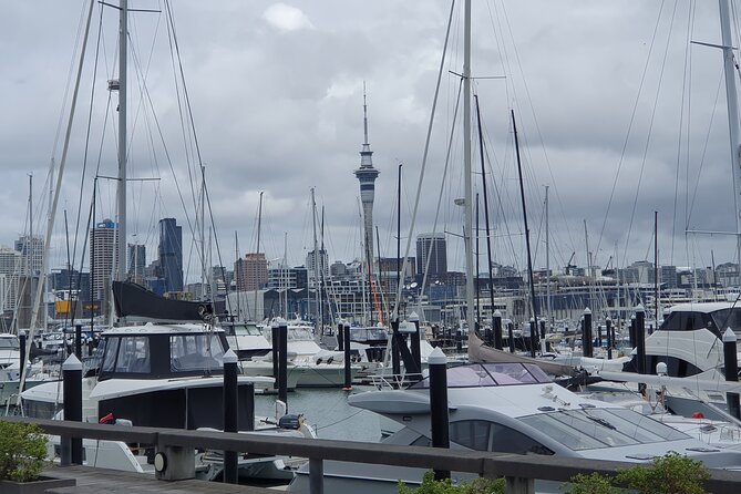 Auckland Highlights Full Day Guided Tour - A private Auckland day built for views, not wait times