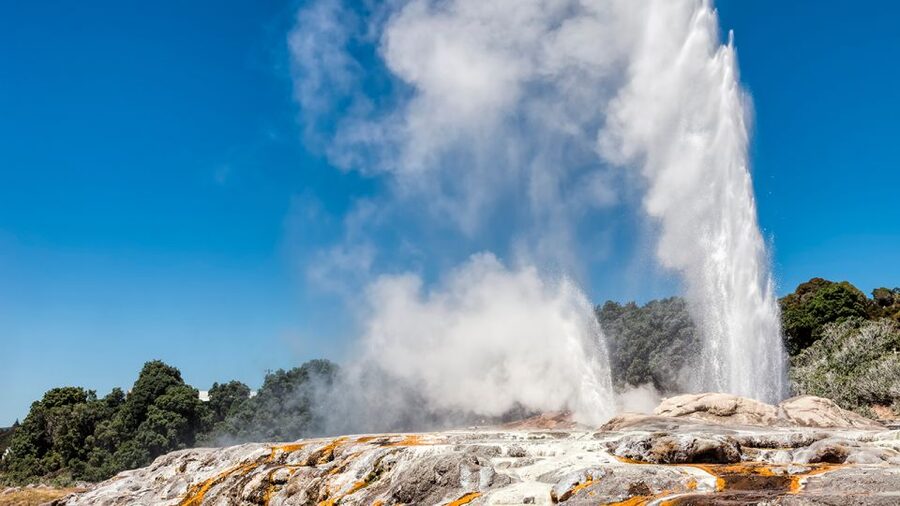 Auckland: Hobbiton and Rotorua Day Tour including Te Puia - Should You Book This Hobbiton and Te Puia Day Tour?