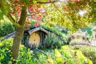 Hobbiton Movie Set Tour with Lunch