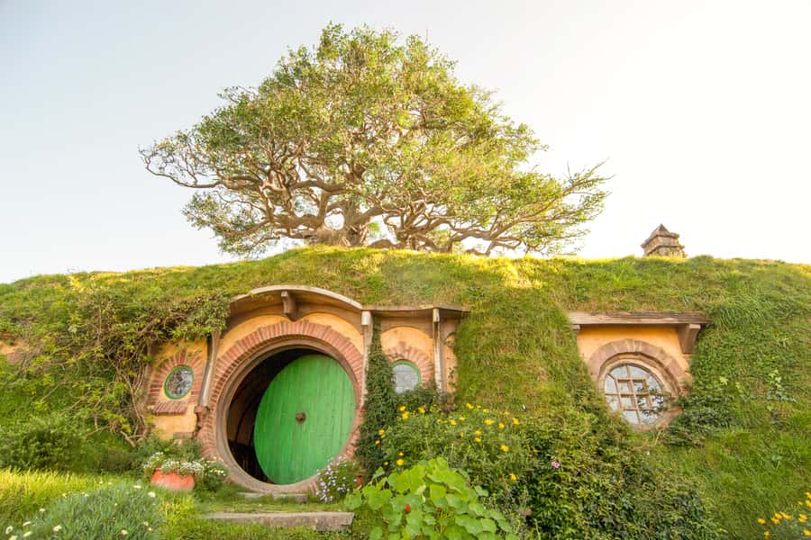 Auckland: Hobbiton Movie Set Tour with Lunch - The guided Hobbiton Movie Set tour: what to focus on