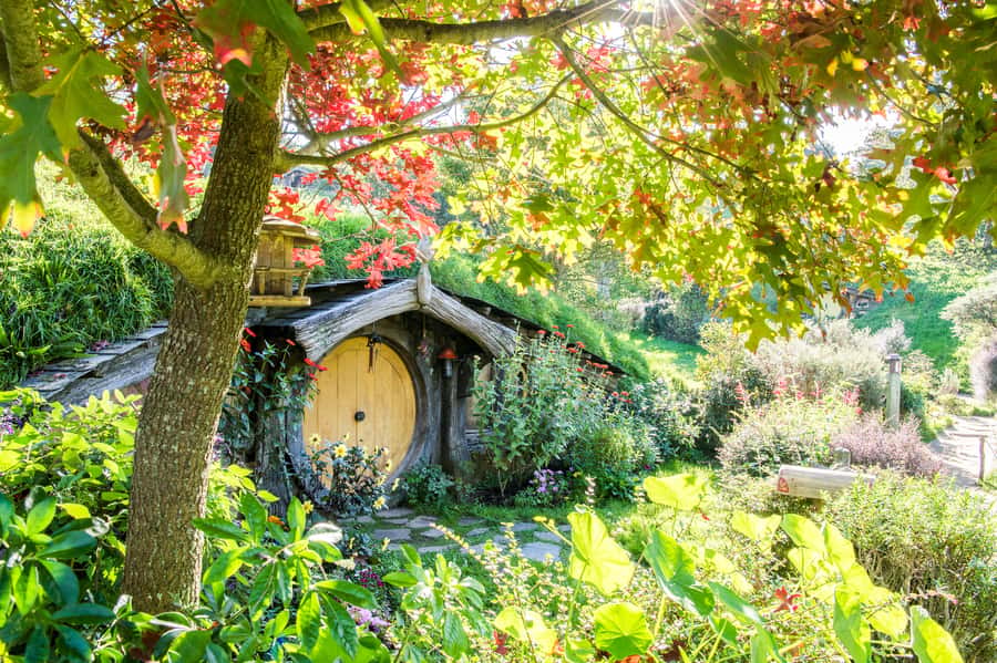 Auckland: Hobbiton Movie Set Tour with Lunch - The drive in comfort: what “small group” really means