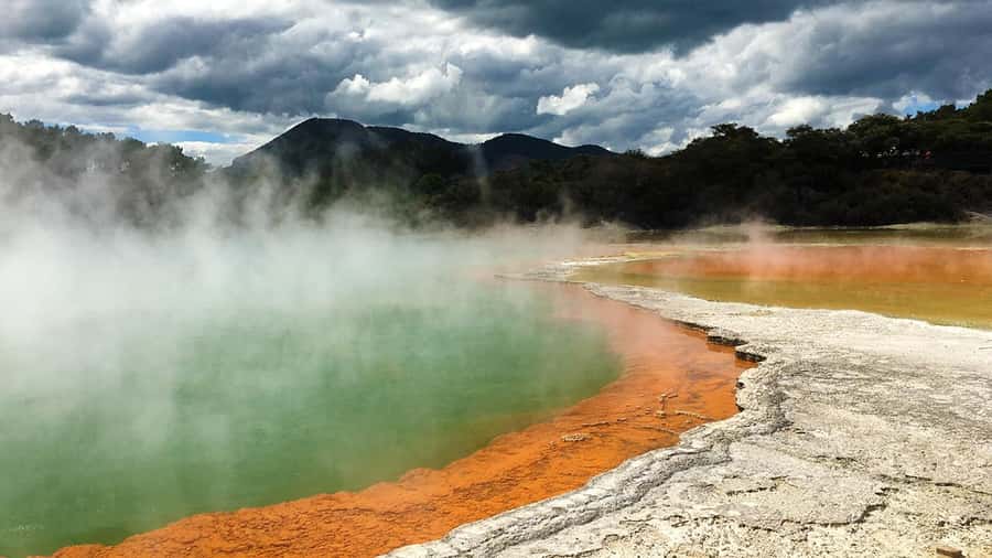 Auckland: Hobbiton, Rotorua and Wai-O-Tapu Day Tour - The value equation: what $256 gets you across three major attractions