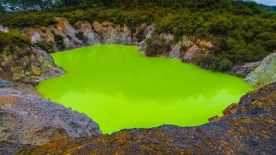 Auckland: Hobbiton, Rotorua and Wai-O-Tapu Day Tour - Guide style makes or breaks the day