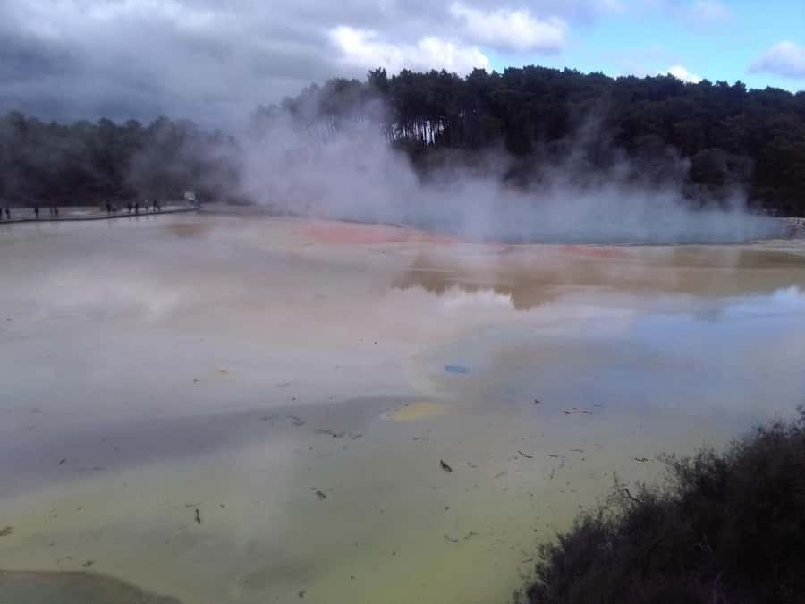 Auckland: Hobbiton, Rotorua, Waiotapu and Waitomo 3-Day Tour - The Auckland to Rotorua loop that actually fits 3 days