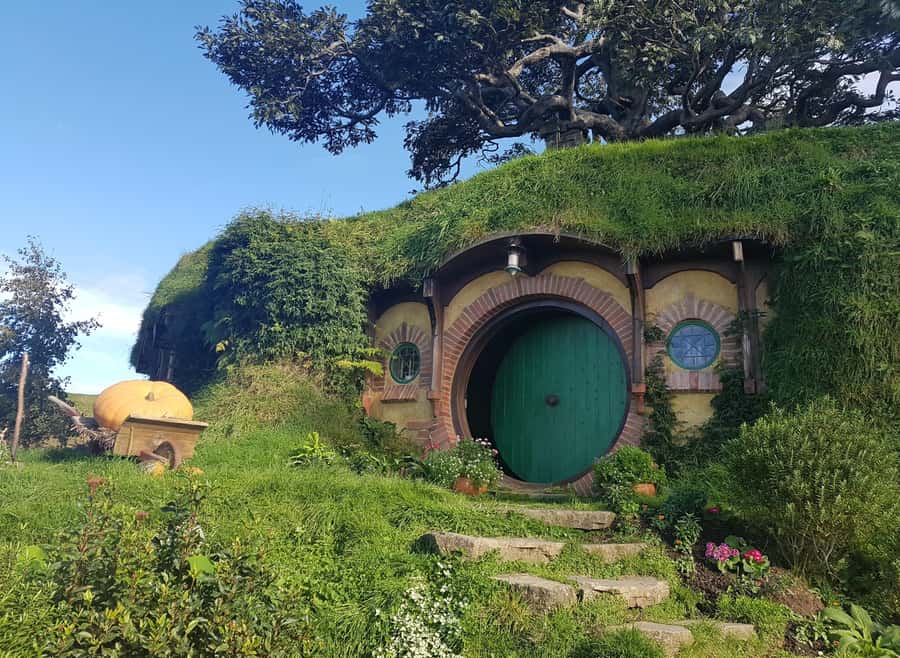 Auckland: Hobbiton, Rotorua, Waiotapu and Waitomo 3-Day Tour - Day 1: Hobbiton, Te Puia, and the Mitai cultural evening in Rotorua