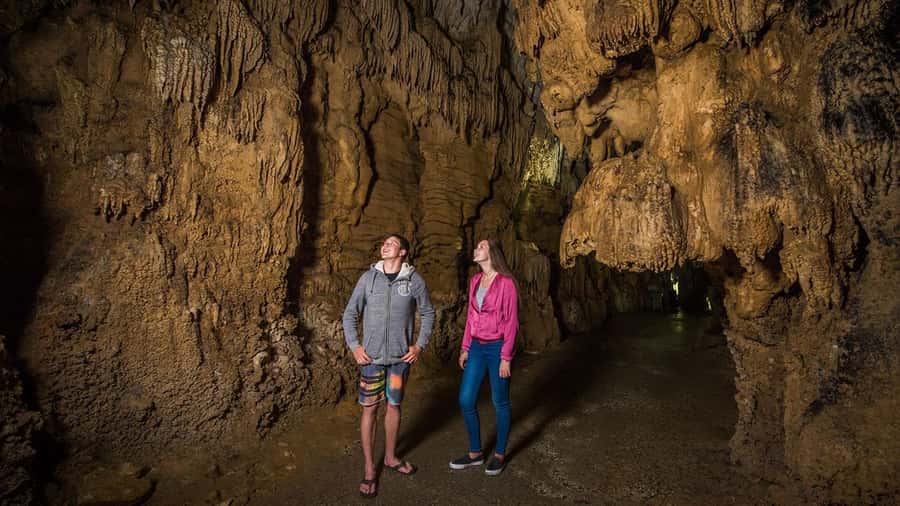 Auckland: Hobbiton, Waitomo Caves, and Rotorua 1-Way Tour - Small group feel: why the guide matters on a day like this