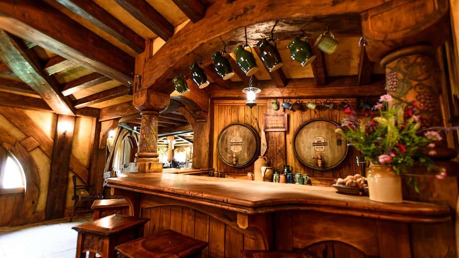 Auckland: Hobbiton, Waitomo Caves, and Rotorua 1-Way Tour - Hotel pickup and the 16-seater minibus reality check