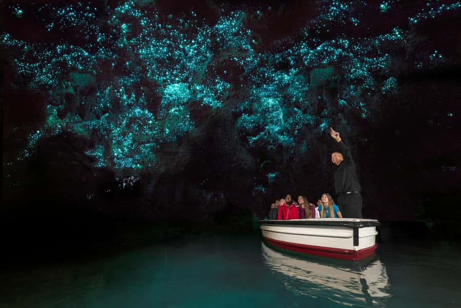 Auckland: Hobbiton & Waitomo Glow Worm Caves Private Tour - Should you book this Hobbiton and Waitomo combo?
