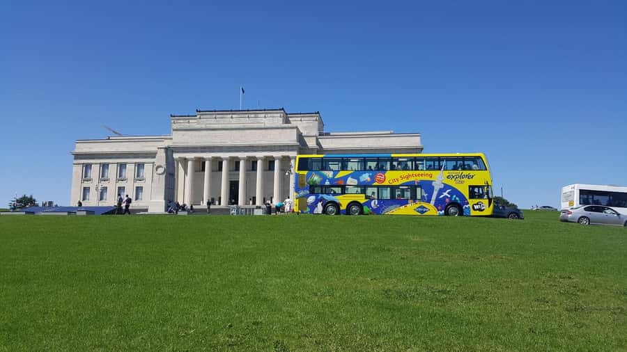 Auckland: Hop-On Hop-Off Explorer Bus Ticket - How the Red and Blue Routes Let You Build a Perfect Auckland Day