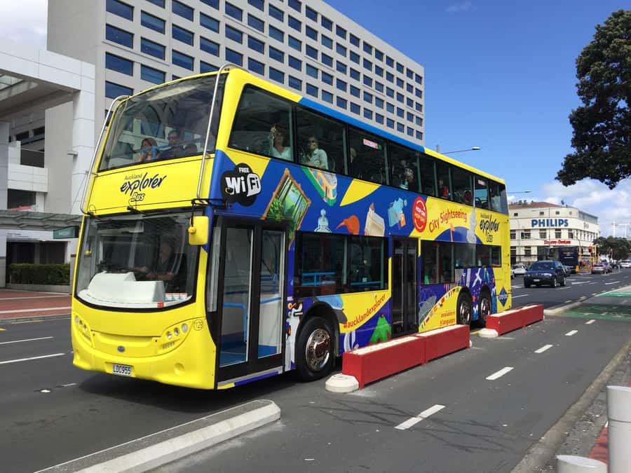 Auckland: Hop-On Hop-Off Explorer Bus Ticket - When the Blue Route Is Running: Mt Eden, Eden Park Area, Zoo, and MOTAT