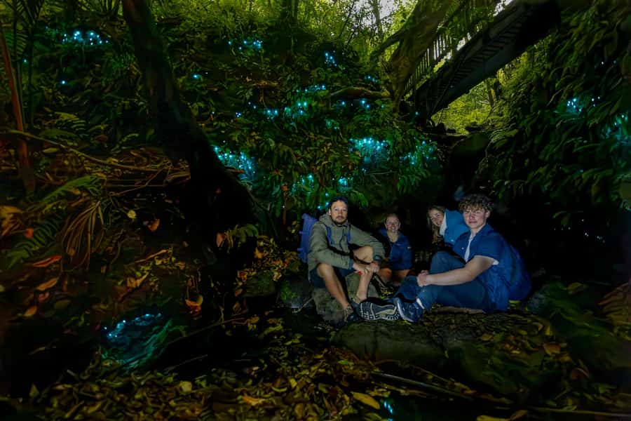 Auckland: Inner-City Glowworm Experience in Ancient Volcano - The Night Walk Details: steps, dark paths, and wet-muddy shoes