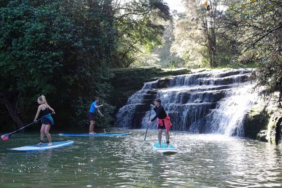 Auckland: Lucas Creek Waterfall SuP Tour - Key Things to Know Before You Go