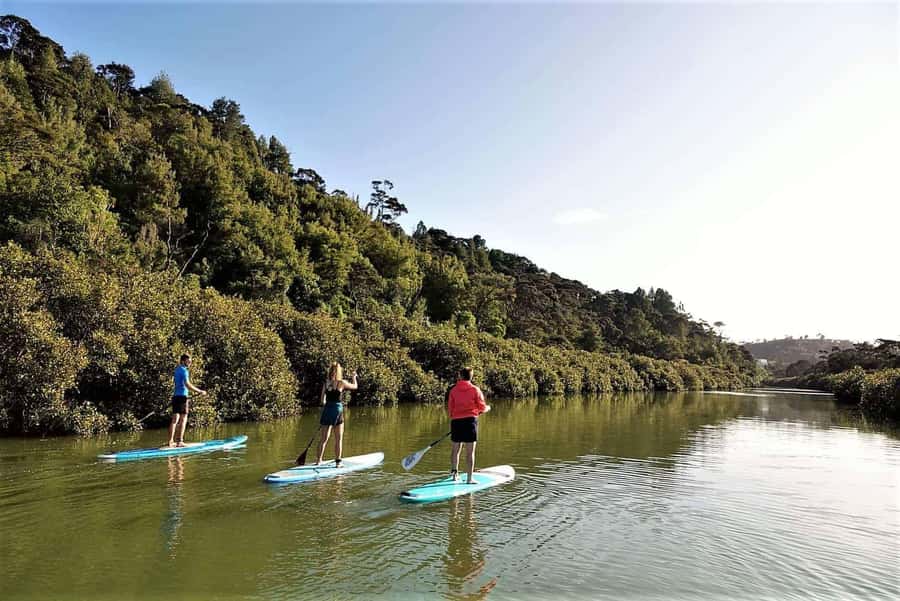 Auckland: Lucas Creek Waterfall SuP Tour - Lucas Creek Waterfall on a SUP: Why This Works So Well in Auckland