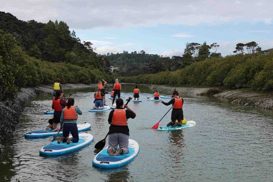 Auckland: Lucas Creek Waterfall SuP Tour - The Lucas Creek Waterfall Segment: What the 1.5 Hours Feels Like