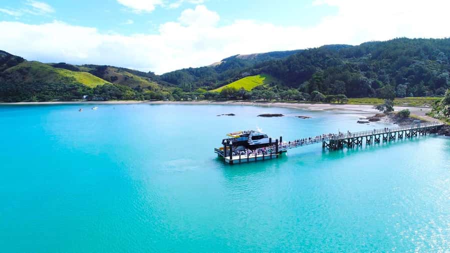 Auckland: Man O' War Vineyard Ferry (Waiheke Island) - The cruise experience, what it feels like in the middle of the day