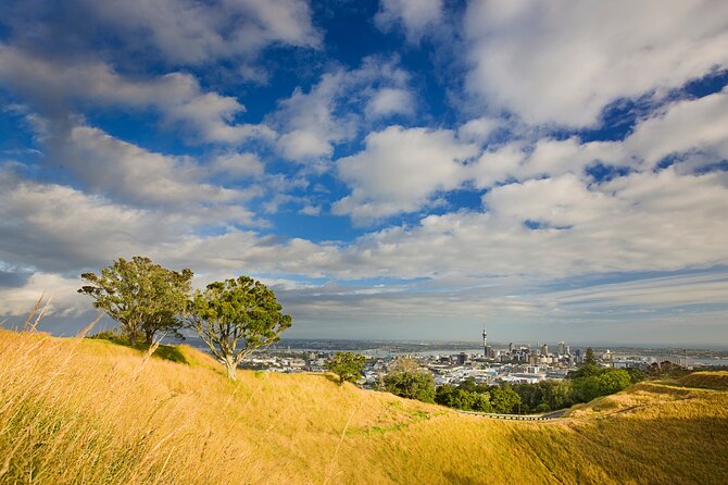 Auckland Maori Tour - Auckland Harbour Bridge and North Shore views: the city from the right angle