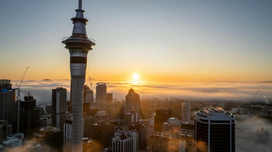 Auckland: Mt. Eden, Piha Beach & Karekare Private Tour - Mt. Eden (Maungawhau): volcanic summit views and Māori context