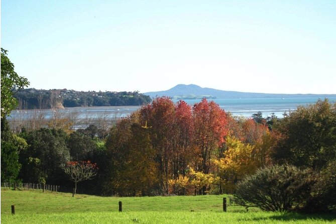 Auckland Nature Tour - Why Auckland Nature Works Better With a Small Group