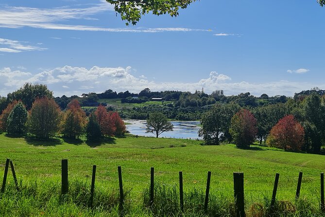 Auckland Nature Tour - Ayrlies Garden and Wetlands: flowers, trees, and time to look up