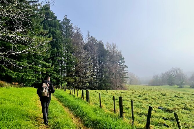 Auckland Nature Tour - Mount Eden: the highest point in Auckland, with a real 360-degree payoff