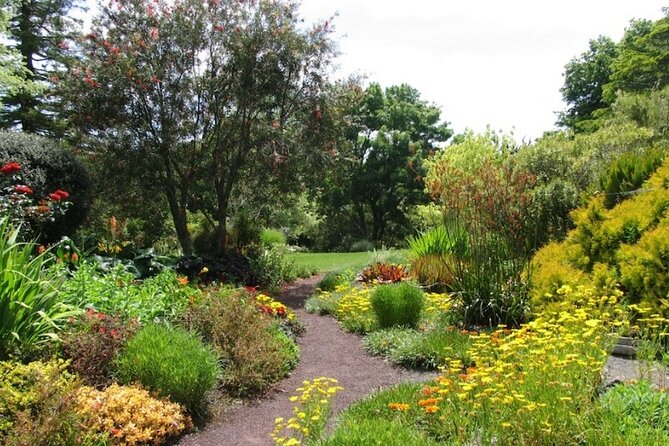 Auckland Nature Tour - Timing and walking: how to decide if the pace fits you
