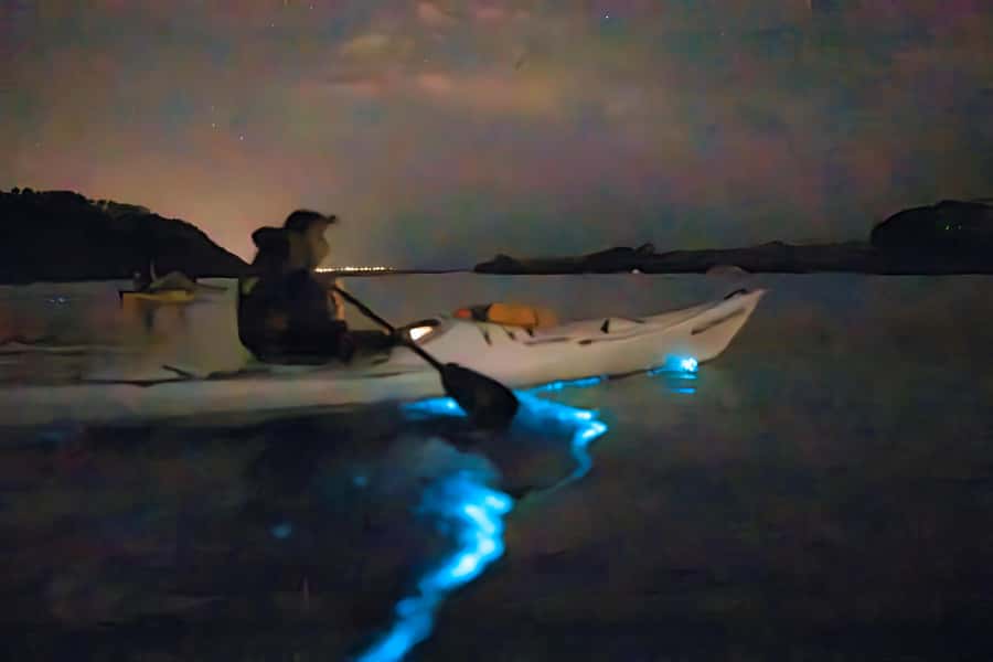 Auckland: Night Kayak Tour in Glowing Bioluminescent Waters - Where the tour starts at Auckland’s boat ramps