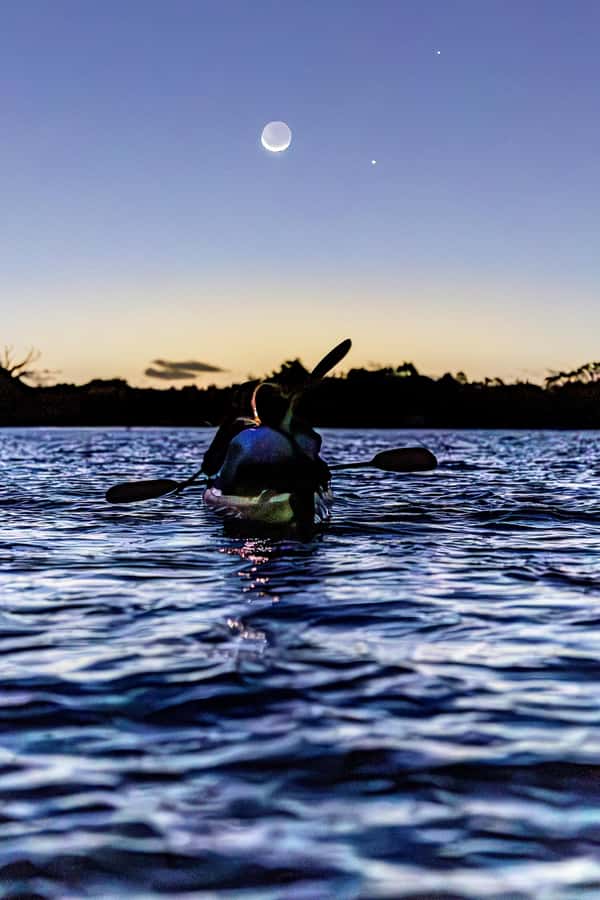 Auckland: Night Kayak Tour in Glowing Bioluminescent Waters - The paddle time that matters: 75 minutes on glowing water
