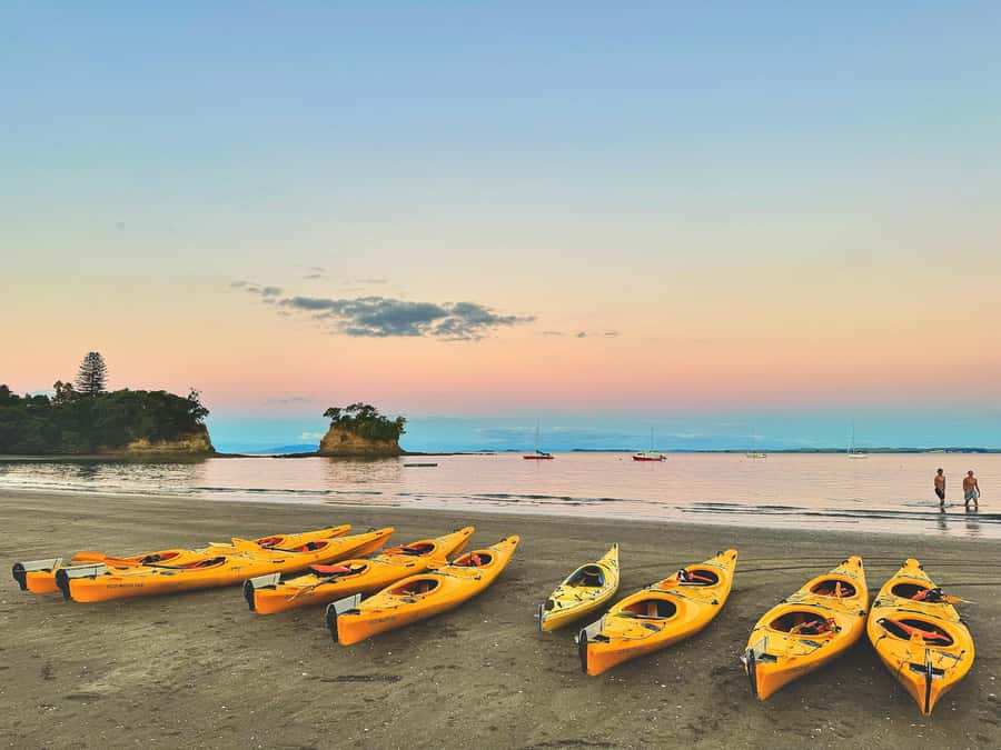 Auckland: Night Kayak Tour in Glowing Bioluminescent Waters - The break period: a quick reset while it is still dark