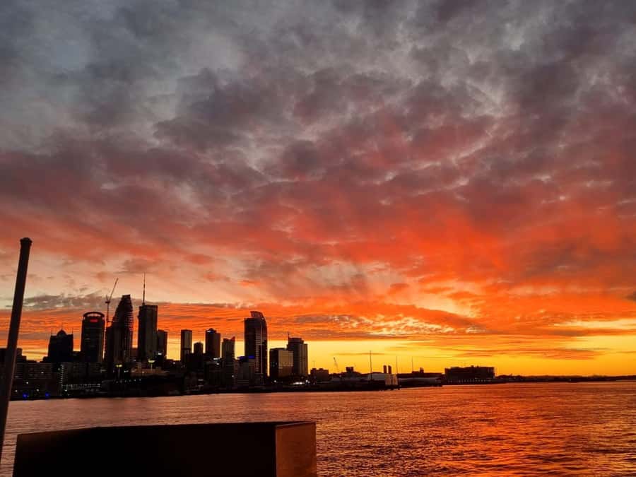 Auckland: Nightlights Harbour Cruise with Canapés and Drink - Why Auckland’s Night Skyline Looks Different From the Water