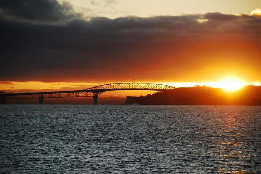 Auckland: Nightlights Harbour Cruise with Canapés and Drink - Viaduct and the Waterfront Glow: Where the City Starts to Sparkle