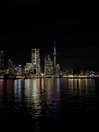 Nightlights Harbour Cruise with Canapés and Drink