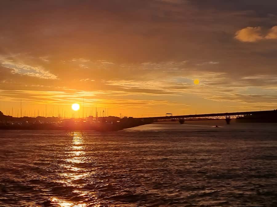 Auckland: Nightlights Harbour Cruise with Canapés and Drink - Live English Guide and the Calm Pace, Not a Hard-Sell Tour