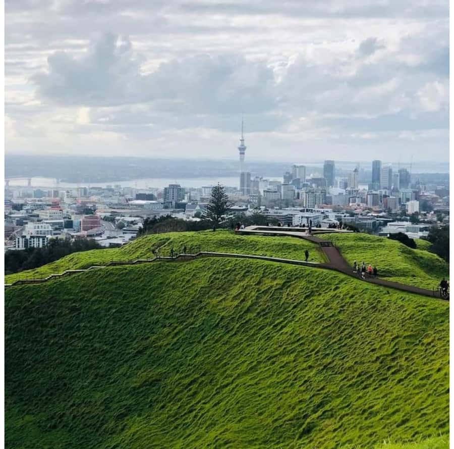 Auckland: Piha Beach, Rainforest, & Mount Eden Private Tour - Key things to know before you go