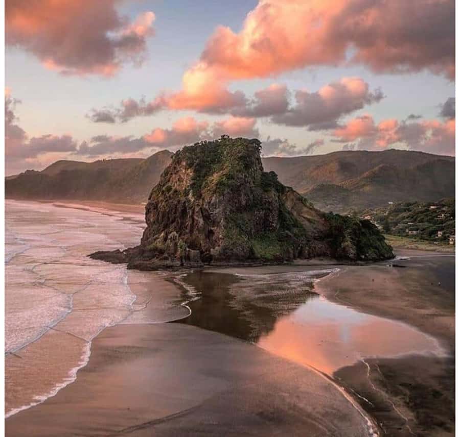Auckland: Piha Beach, Rainforest, & Mount Eden Private Tour - Why this private Auckland combo makes sense