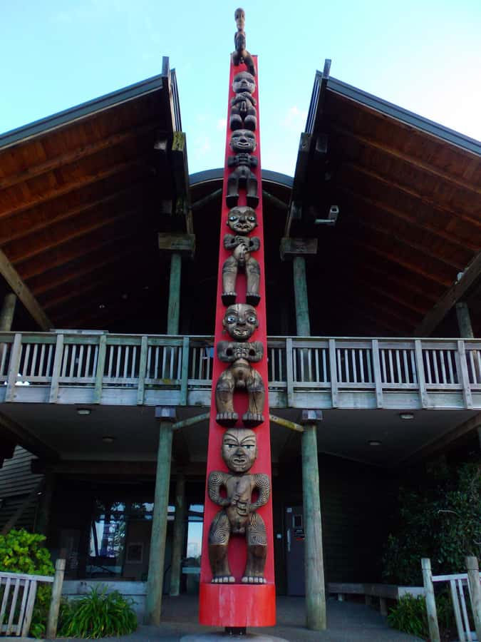 Auckland: Piha Beach, Rainforest, & Mount Eden Private Tour - Rainforest walk in the Waitākere Ranges: where it feels alive