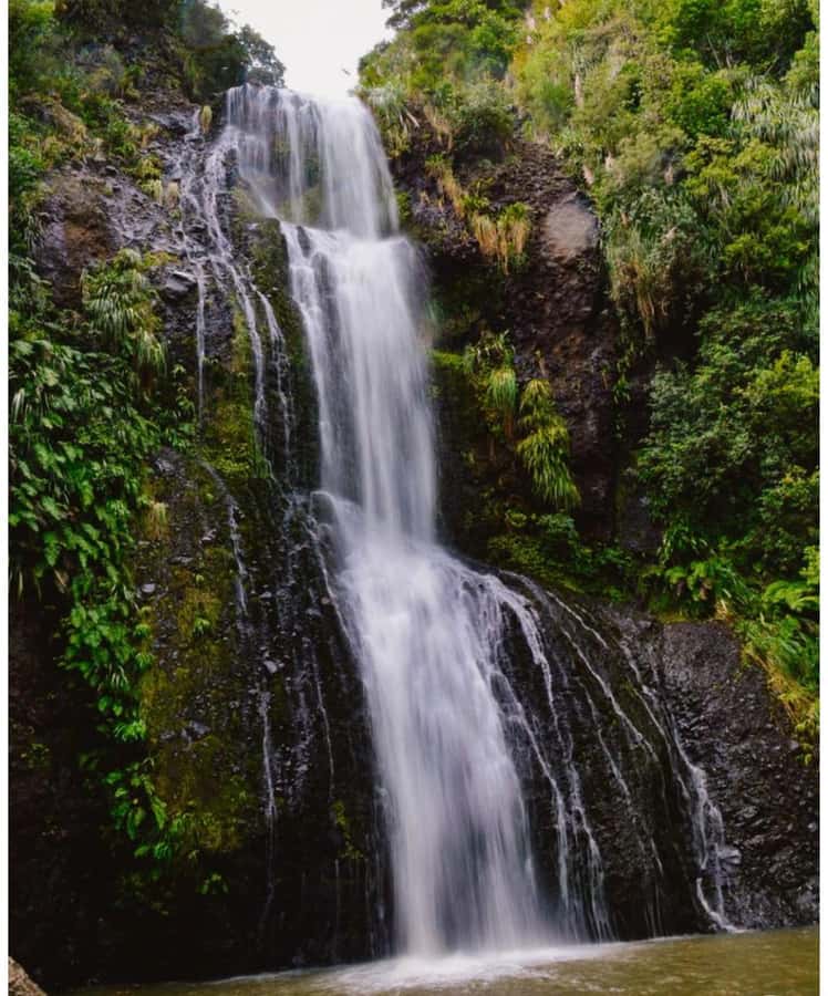 Auckland: Piha Beach, Rainforest, & Mount Eden Private Tour - A second pass through the Waitākere Ranges for variety and fewer crowds