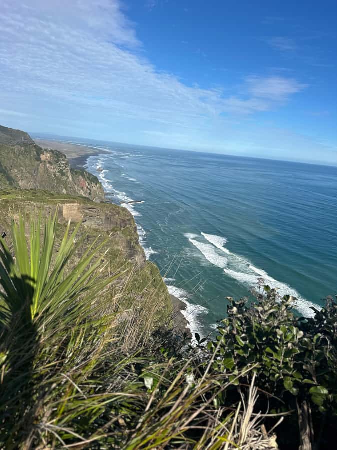 Auckland: Piha Beach, Rainforest, & Mount Eden Private Tour - What you should bring, and how to get the best day