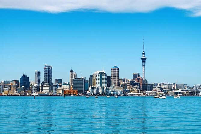 Auckland Private Custom Walking Tour with A Guide (Private Tour) - What You’ll See on the Streets: Markets, the University Area, and More