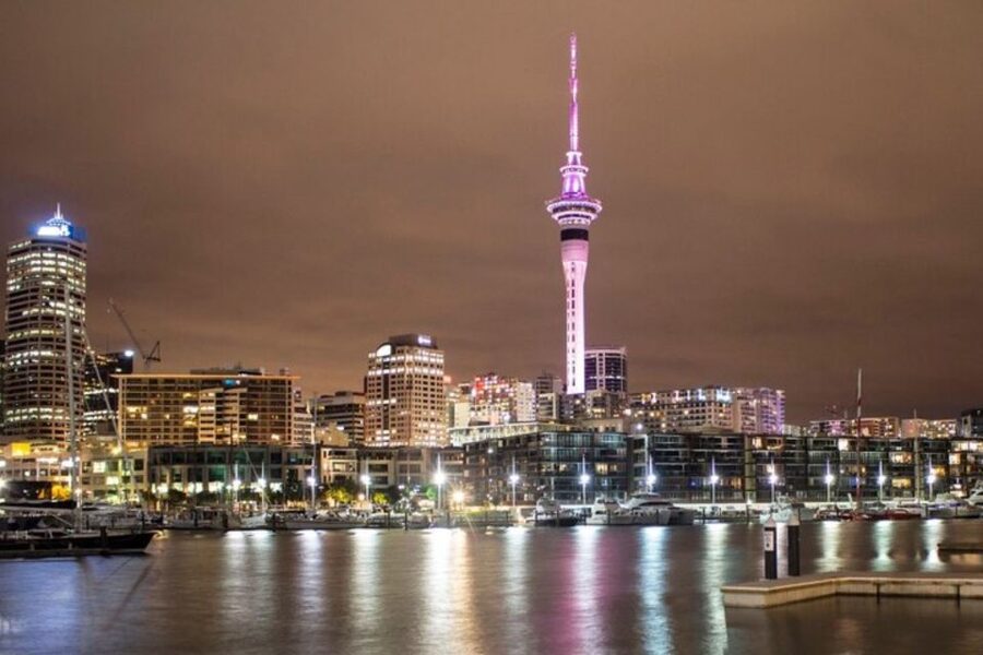 Auckland: Private Customizable Walking Tour with Local Guide - Who this tour suits best (and who should consider alternatives)
