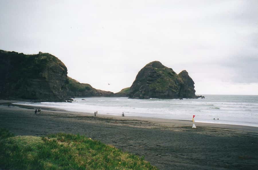 Auckland Private Tour: West Coast Wilderness & Piha Beach - Key highlights worth planning around
