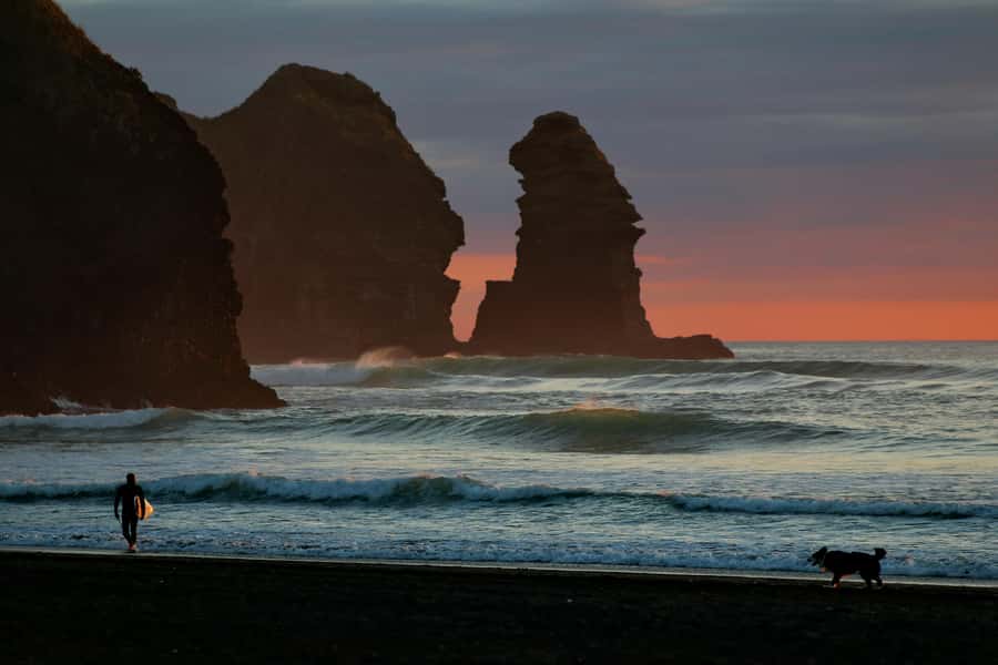 Auckland Private Tour: West Coast Wilderness & Piha Beach - Why the Waitākere Ranges and Piha make one of Auckland’s best day trips