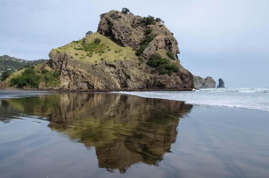 Auckland Private Tour: West Coast Wilderness & Piha Beach - Arataki Visitor Centre: your best first stop for making sense of the ranges