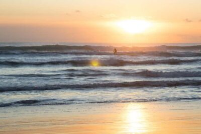 Auckland Private Tour: West Coast Wilderness & Piha Beach