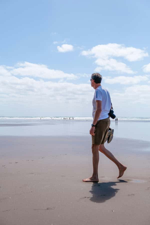 Auckland Private Tour: West Coast Wilderness & Piha Beach - Waitākere Ranges viewpoints: the payoff of having a guide drive